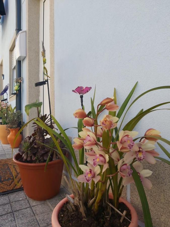 Alto Da Lapa Luxury House Free 1 Parking Place Porto Exterior foto